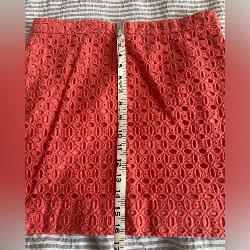 J. Crew skirt